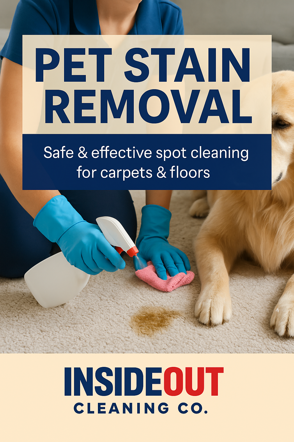 Pet Stain Removal – Safe & Effective Spot Cleaning for Carpets & Floors in Elgin, St. Charles, Bartlett & Nearby